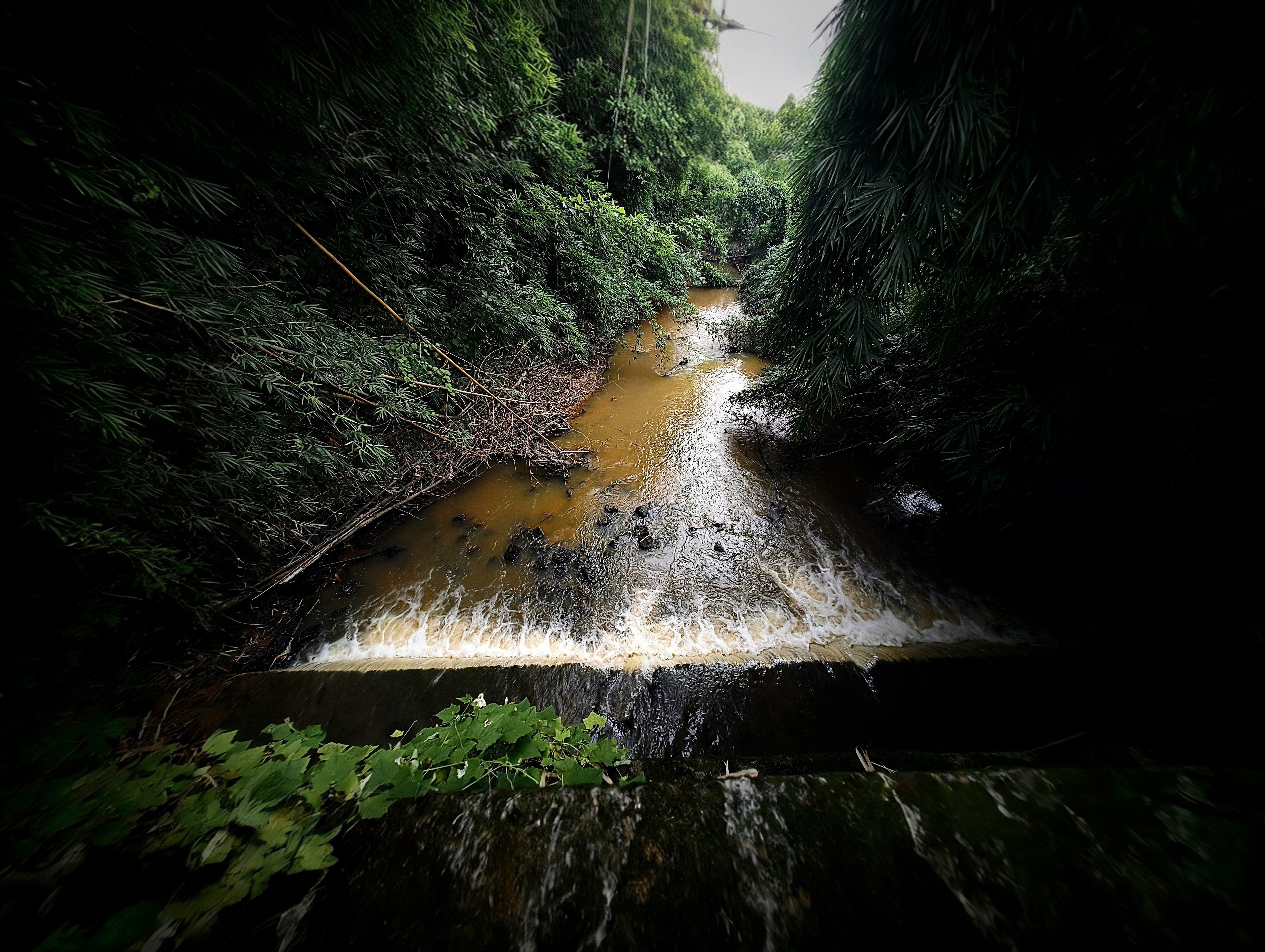 Wild Cascade waterfall river through forest